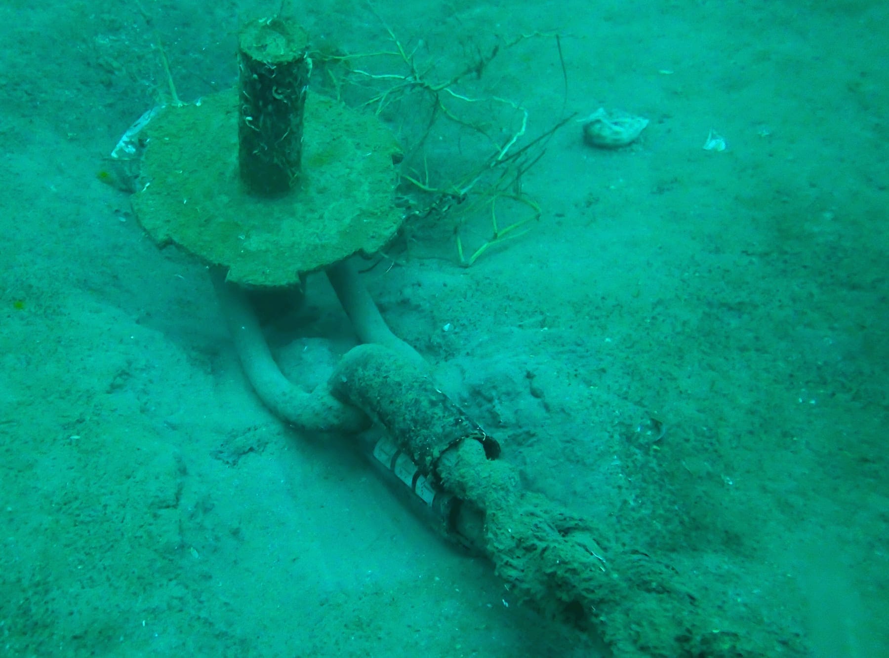 Screw anchor installed on the seabed at the Misya Seafood mussel farm off Koyun Island, showing the drive head used to turn it and the revolving eye where the mooring rope is tied.