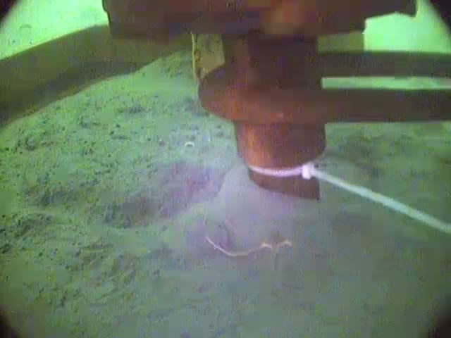 Underwater view of a screw anchor shaft being turned into the seabed at a mussel farm, sediment disturbed around its base and the installation frame visible behind it.